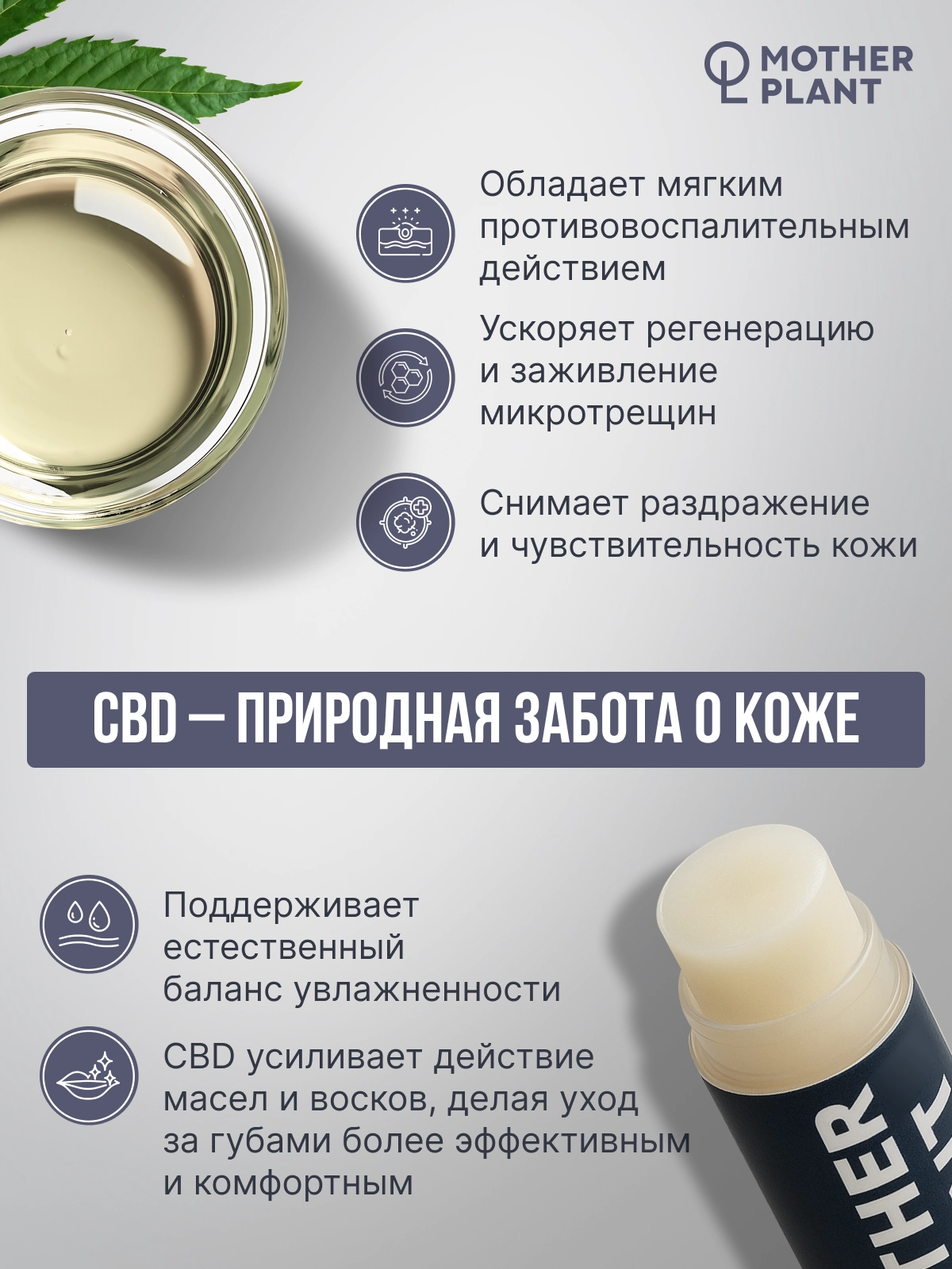 Бальзам для губ с CBD, 5 гр, MotherPlant